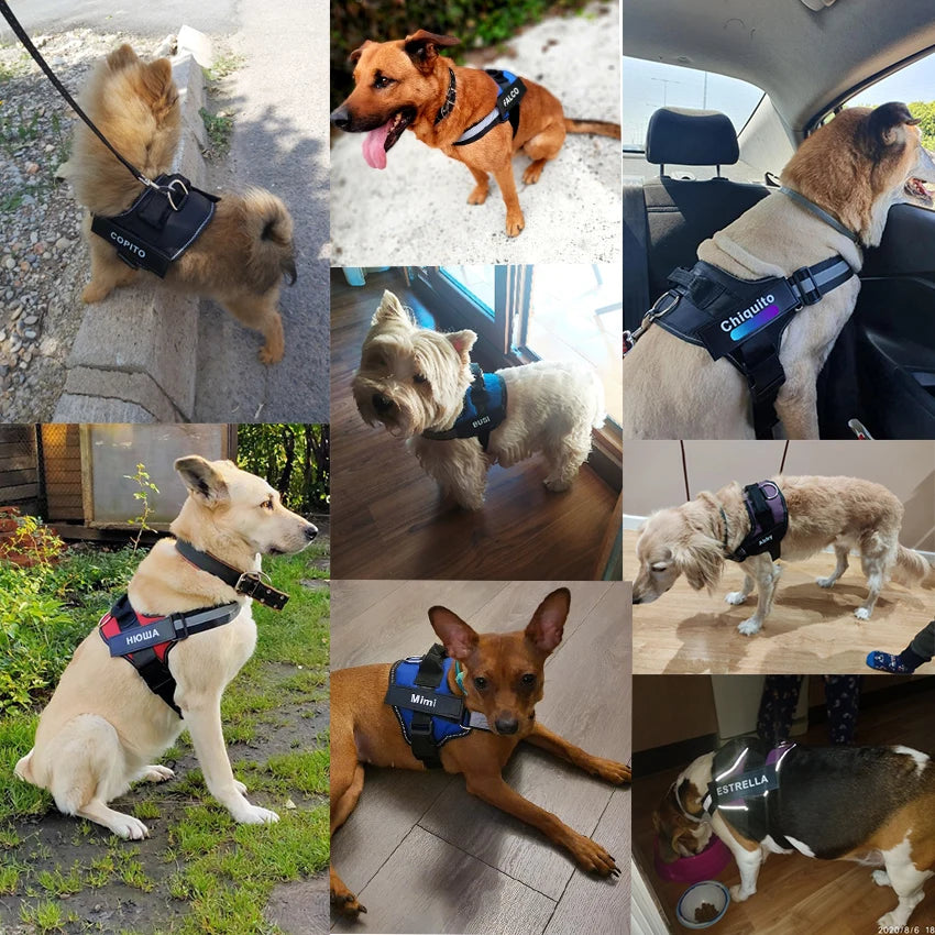 NO PULL Reflective Breathable Adjustable Pet Harness