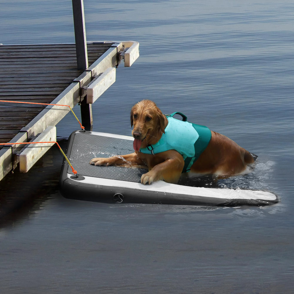 Inflatable outdoor dog ramp