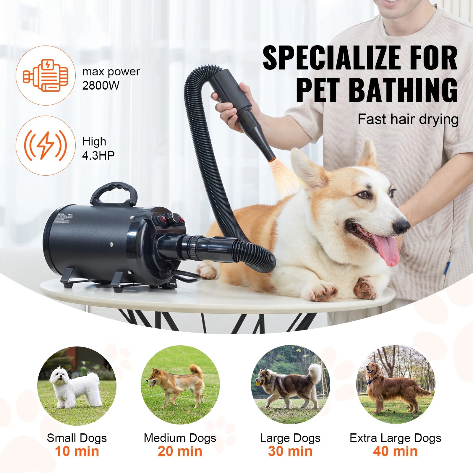 00W/ Dryer Adjustable Speed Temperature Control with 4 Nozzle and Extendable Hose for Pet Hair Grooming