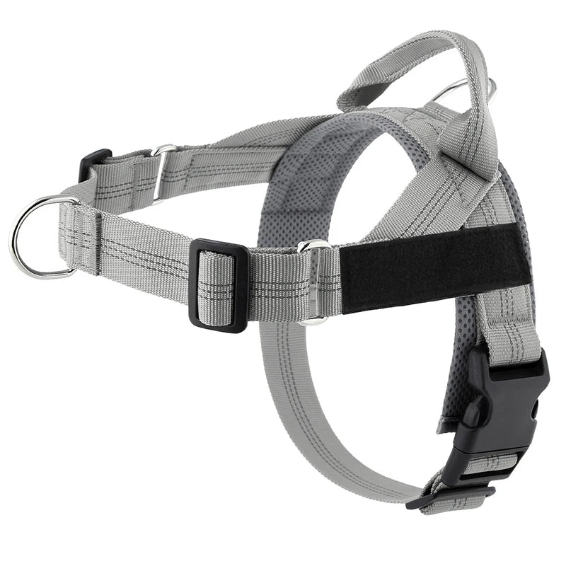 Personalized Reflective No Pull Harness for Small Medium Dog Washable