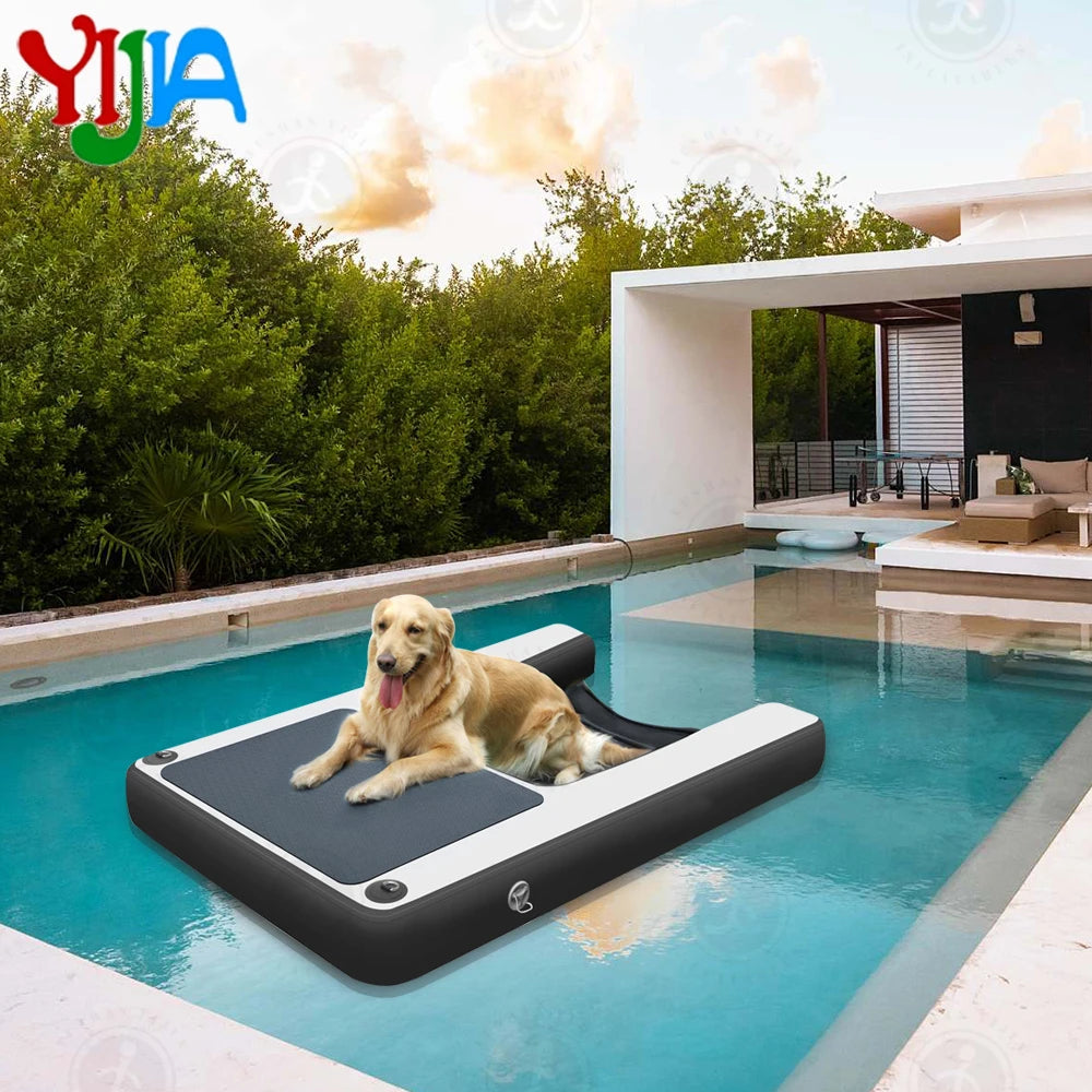 Inflatable outdoor dog ramp