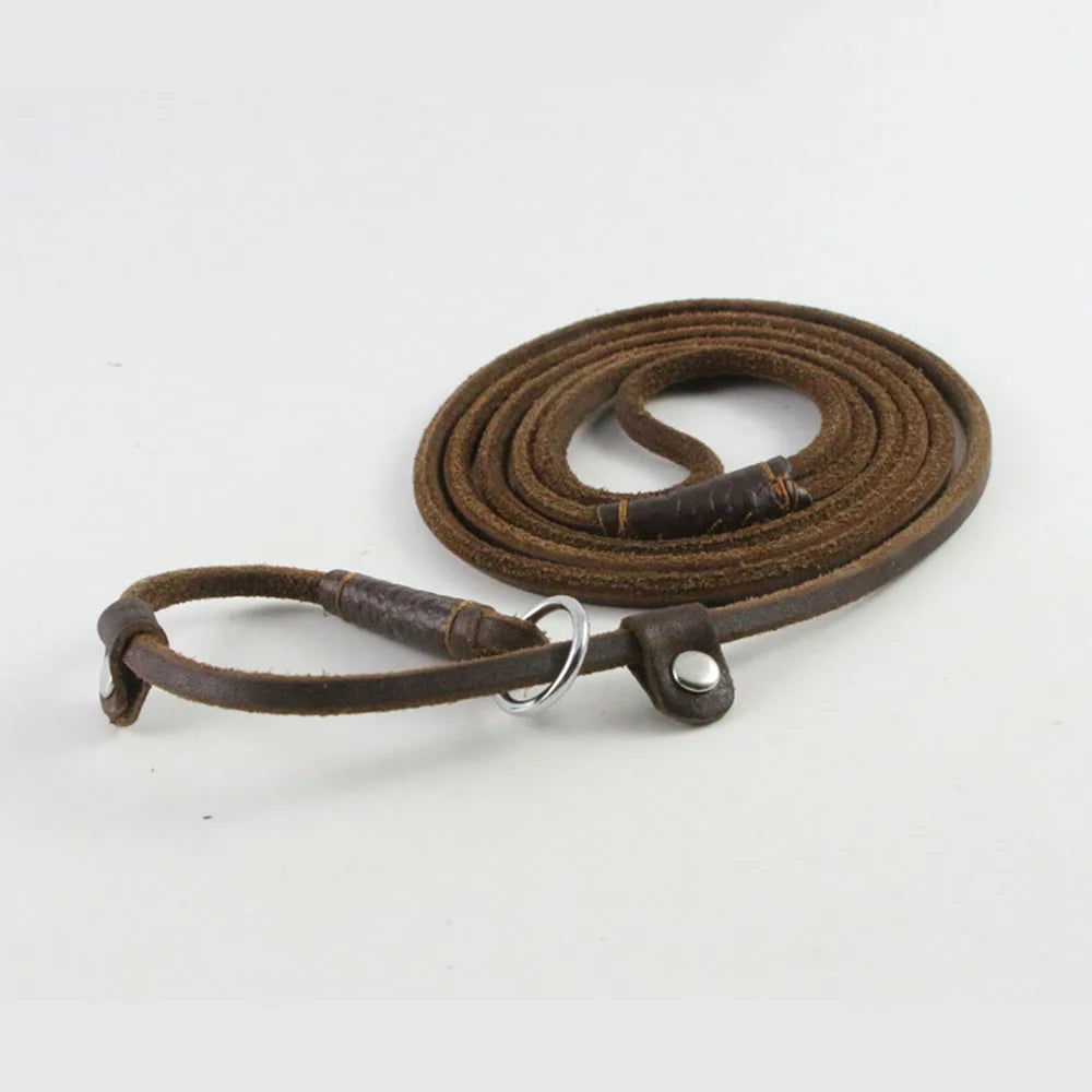 Slip Dog Leash Soft Thin Handmade Genuine Leather Pet Puppy Dog Chain Collar Leash Slip for Small and large dogs
