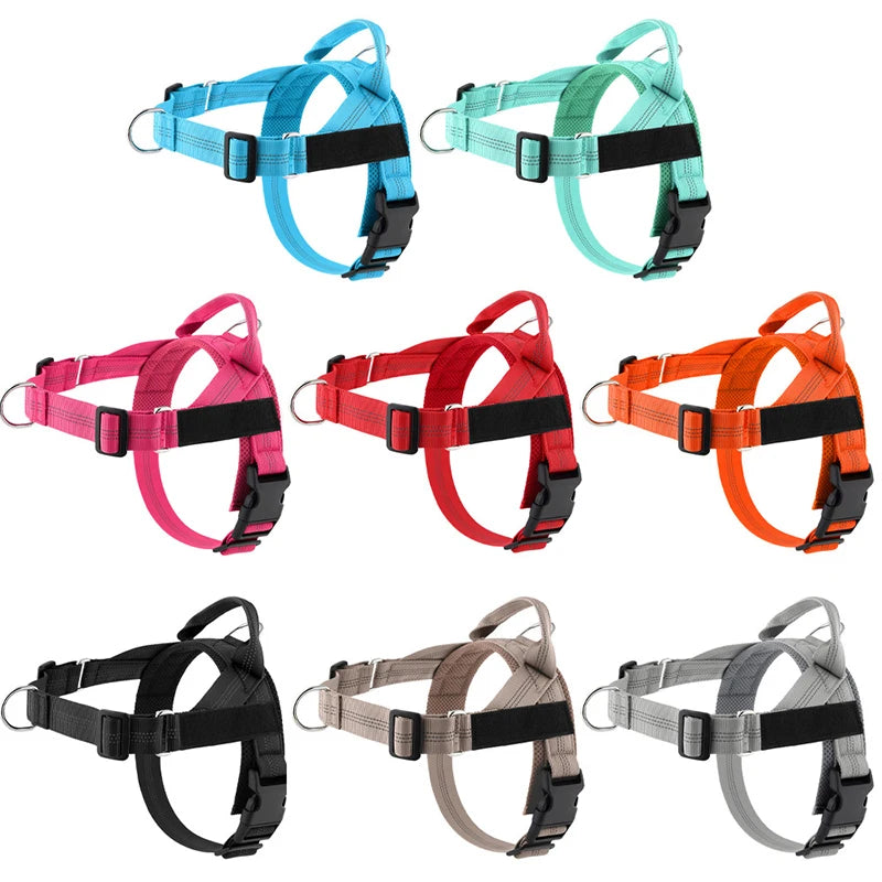 Personalized Reflective No Pull Harness for Small Medium Dog Washable