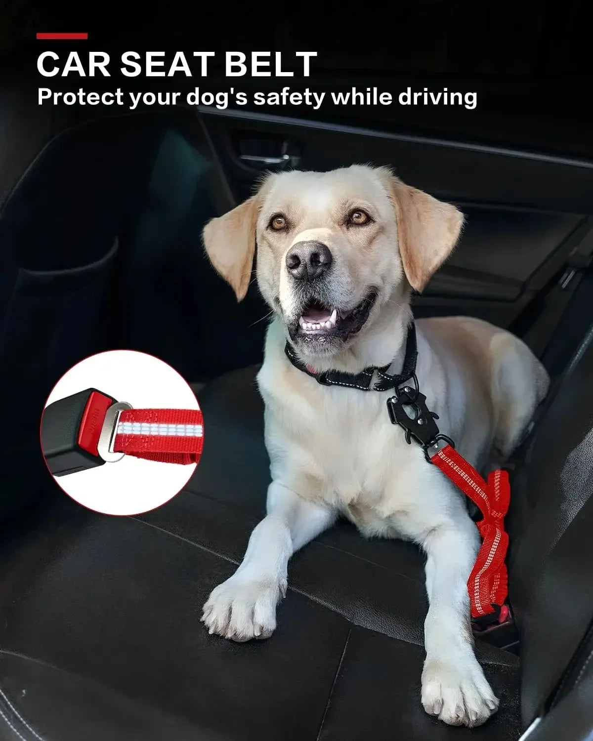 Tactical Dog Leash Heavy Duty, 4-6FT Shock Absorbing Bungee Lead with 2 Padded Handle,