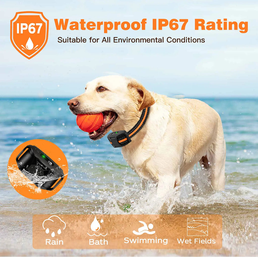 Electric Dog Training Collar Remote Control Waterproof Pet Behavior
