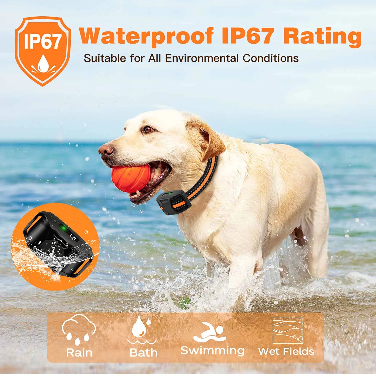 Electric Dog Training Collar Remote Control Waterproof Pet Behavior