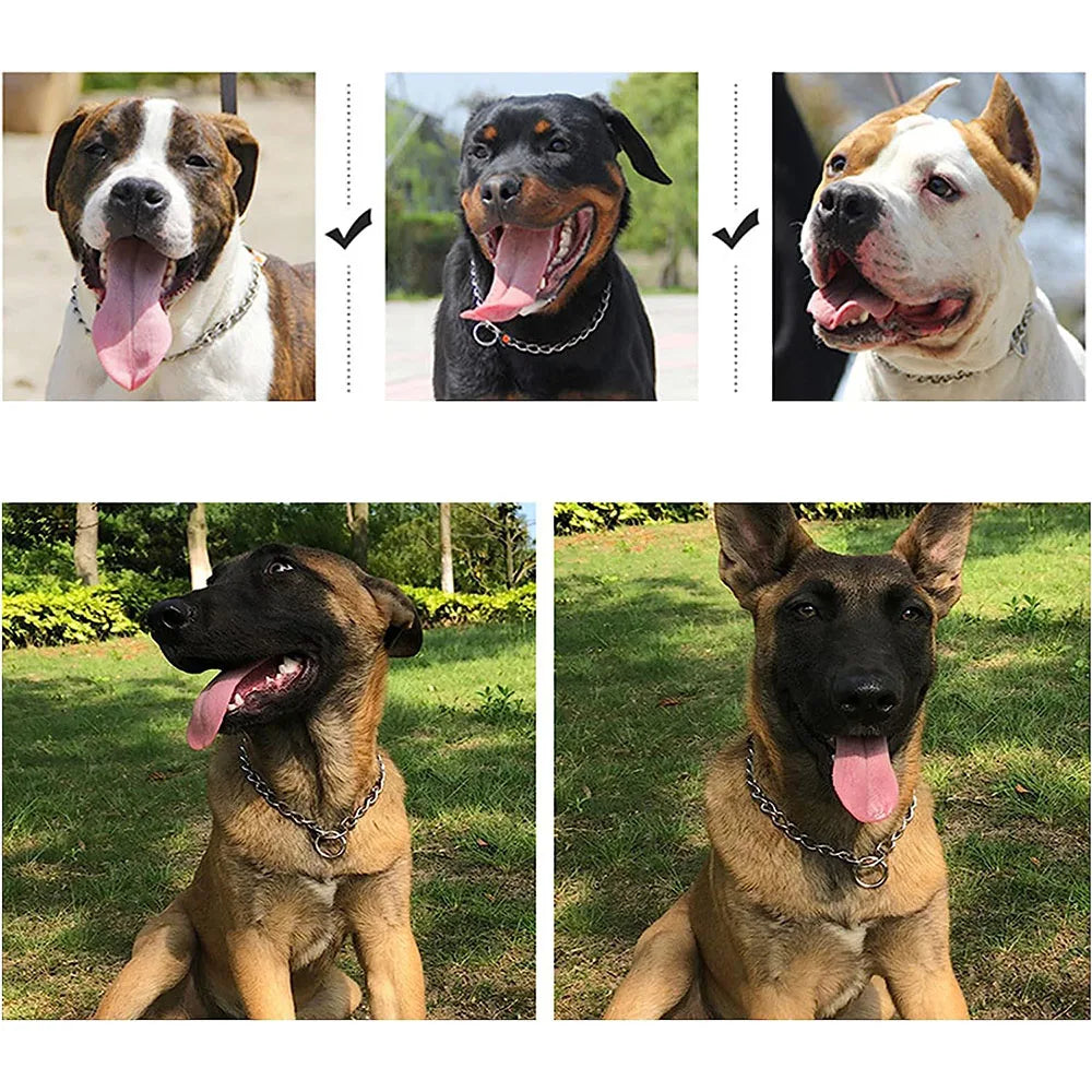 Dog Choke Collar Chew-proof Metal Dog Slip Chain Pinch Collars for Small Medium Large Dogs Training