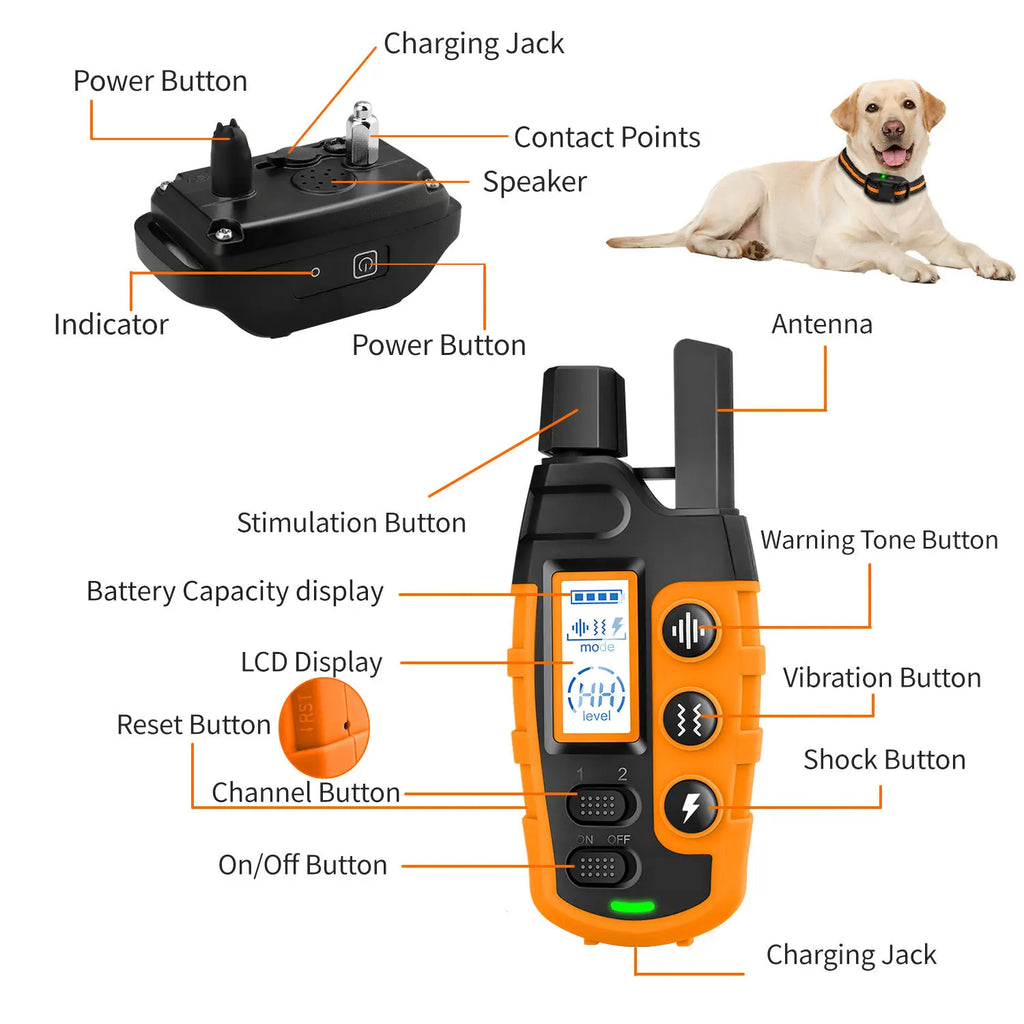 Electric Dog Training Collar Remote Control Waterproof Pet Behavior