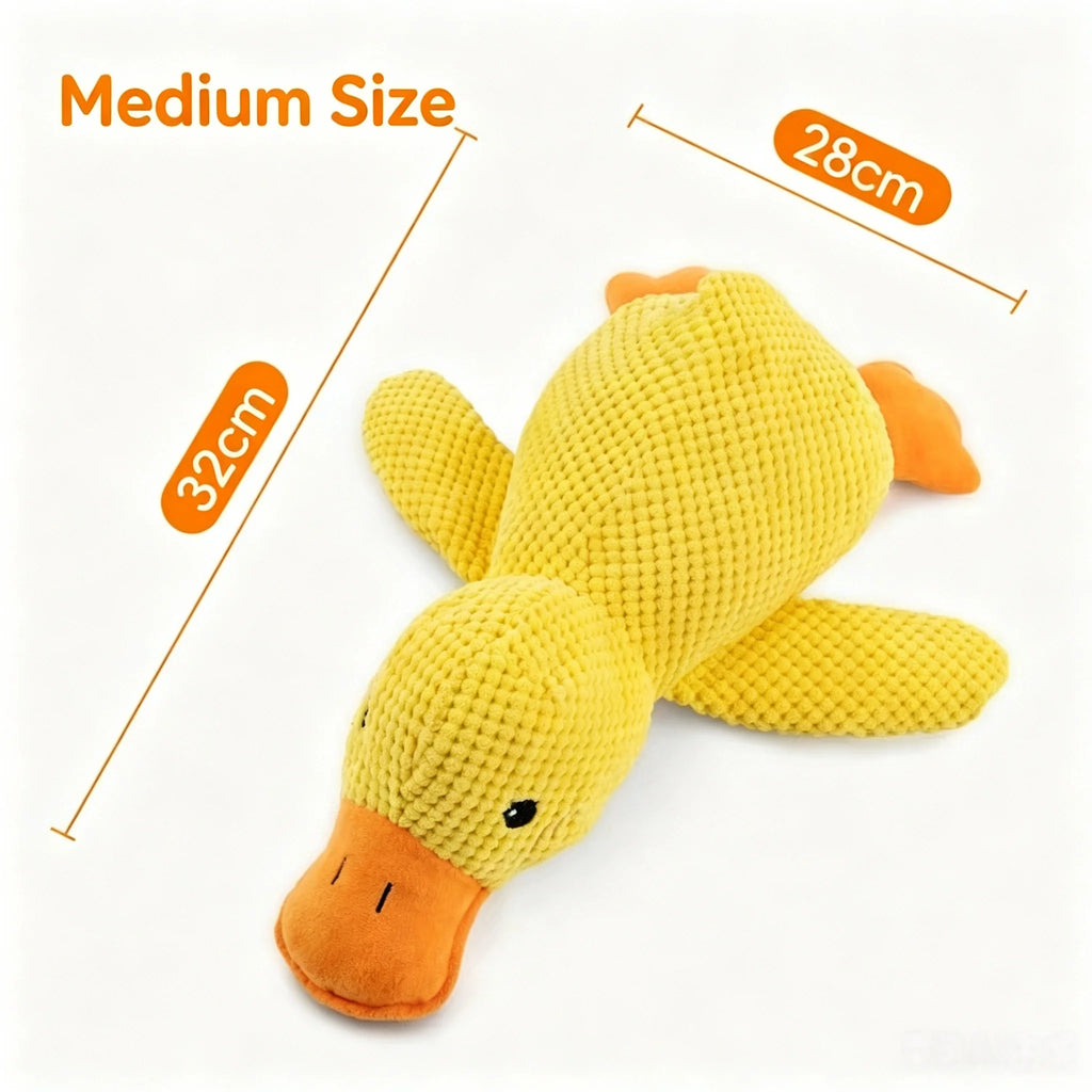 Foldable Rainbow Cat Tunnel Multi Channel Interactive Play Tube with Hanging Ball, Collapsible Hideaway Toy for Kittens Puppies