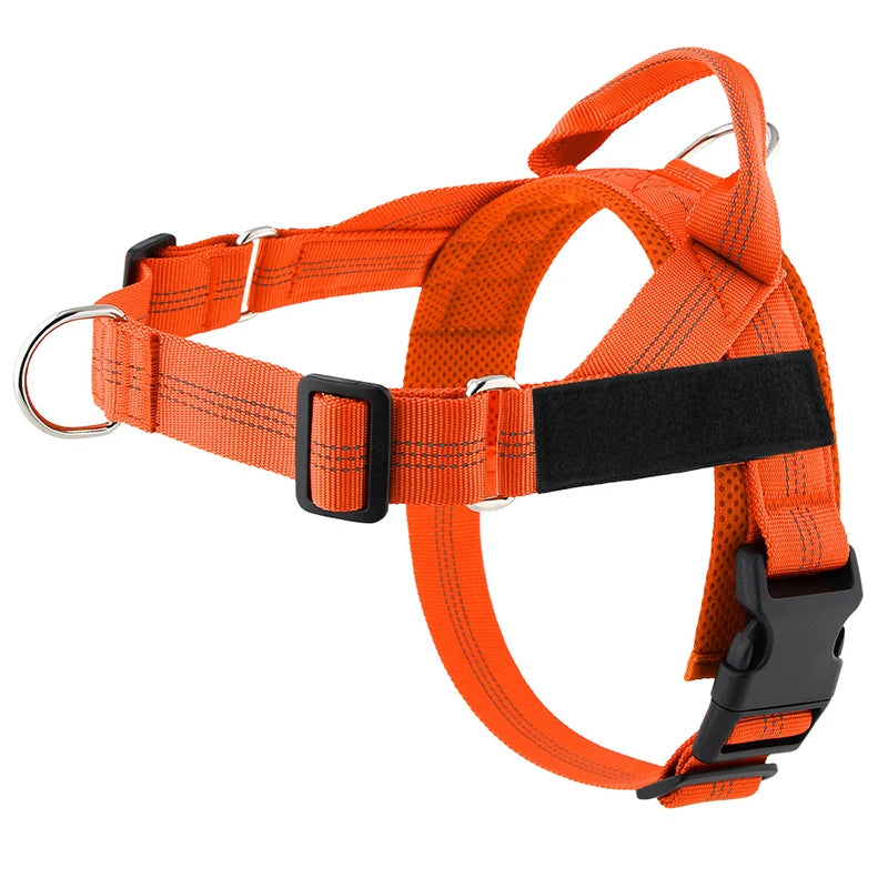 Personalized Reflective No Pull Harness for Small Medium Dog Washable