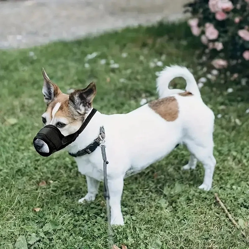 Soft Dog Muzzle Breathable Mesh Muzzle for Small Medium Large Dog