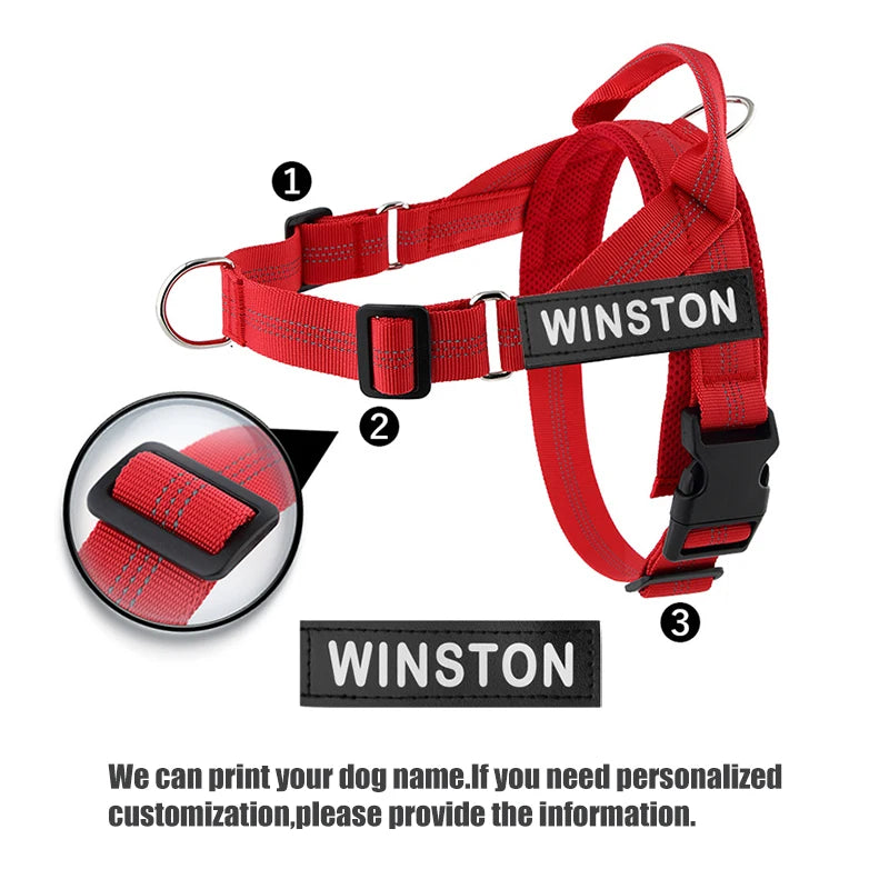 Personalized Reflective No Pull Harness for Small Medium Dog Washable