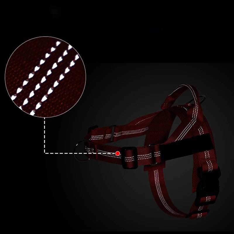 Personalized Reflective No Pull Harness for Small Medium Dog Washable