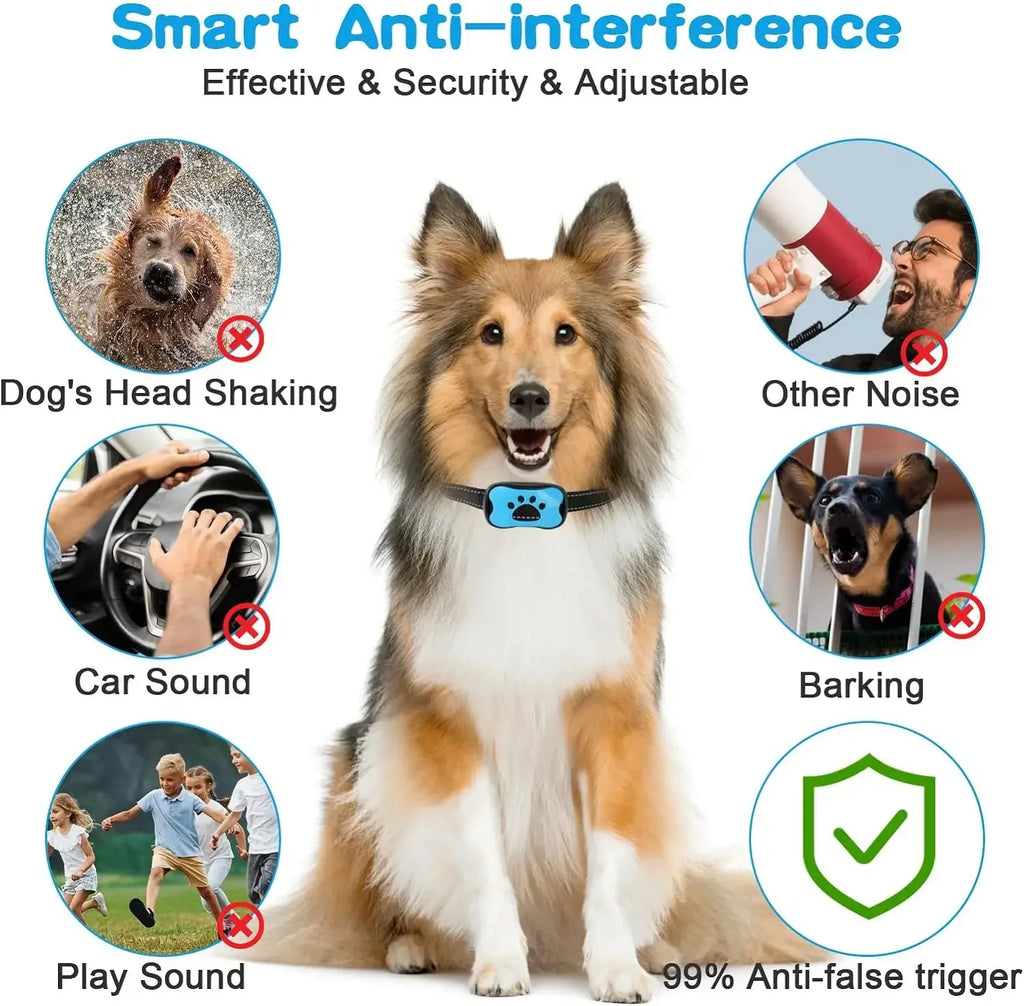 Anti Bark