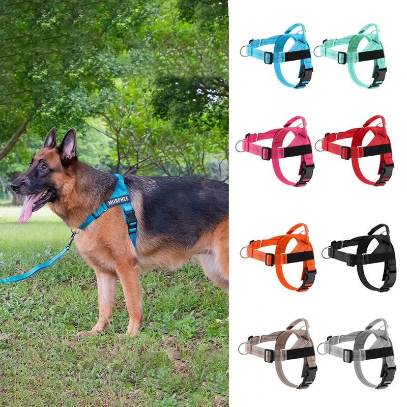 Personalized Reflective No Pull Harness for Small Medium Dog Washable
