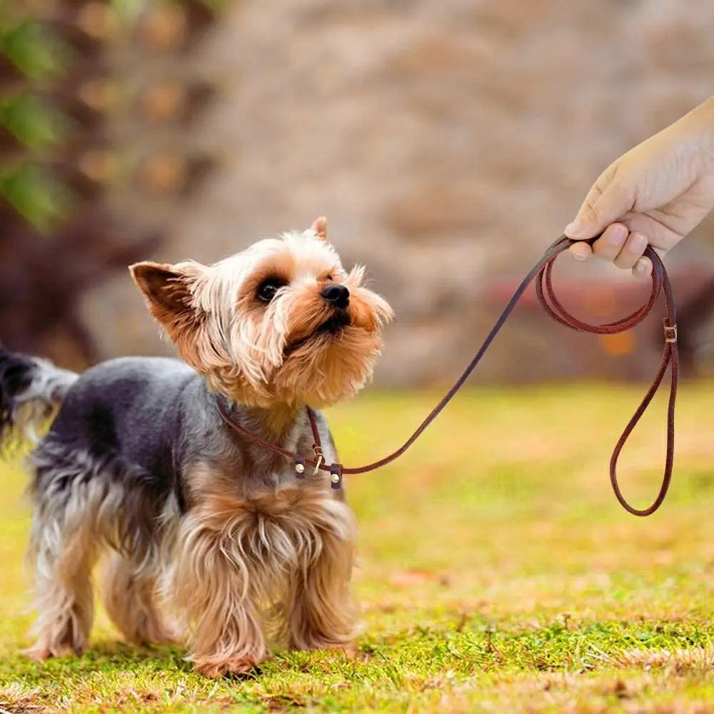 Slip Dog Leash Soft Thin Handmade Genuine Leather Pet Puppy Dog Chain Collar Leash Slip for Small and large dogs